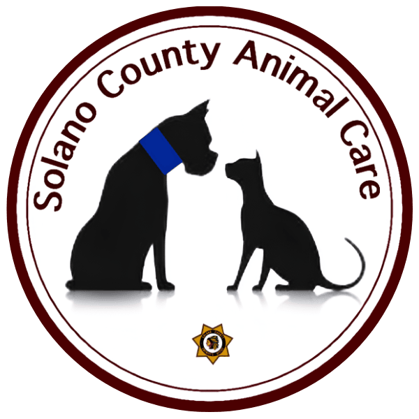 Solano County Animal Care Services